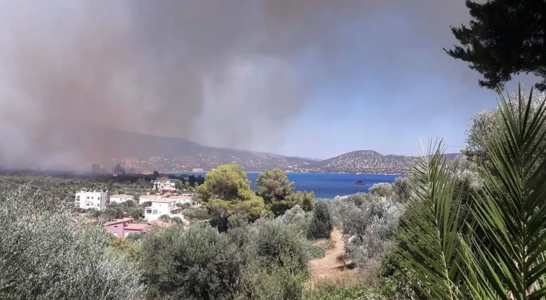 Φωτιά στο Κρανίδι: Καίγονται σπίτια – Εκκένωση προς Πόρτο Χέλι και Ερμιόνη