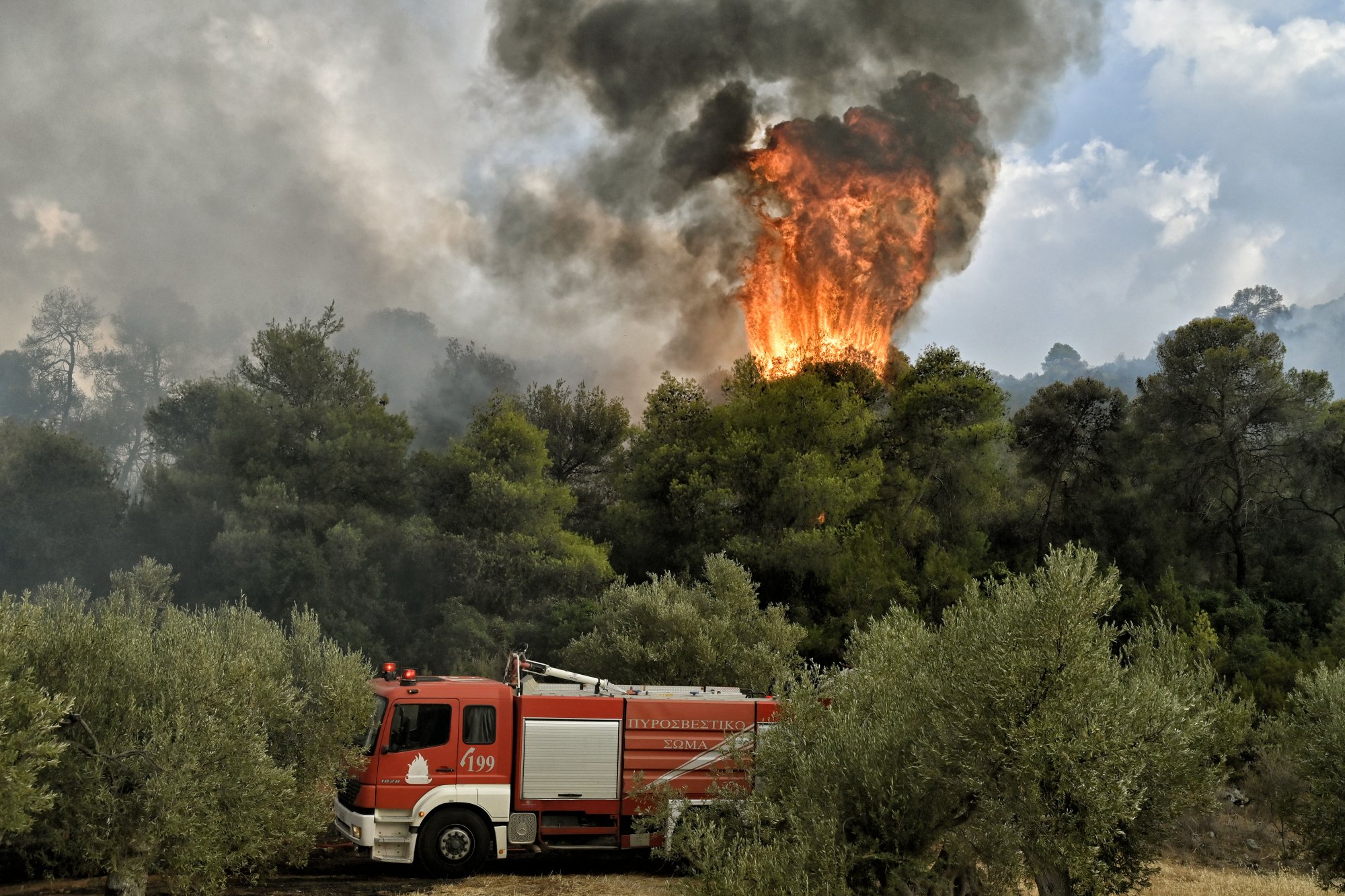 Νευροκόπι: Φωτιά σε δασική έκταση στην περιοχή της Τσακαλίνας