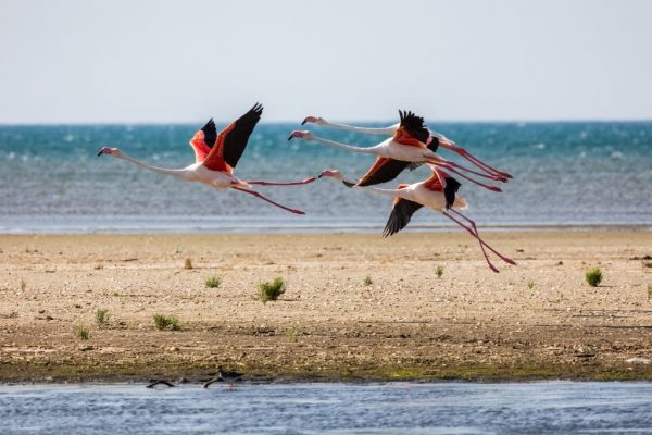 Καλοκαίρι στον Έβρο: Όλα όσα θα κάνετε και θα δείτε