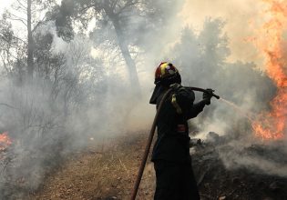 Υπό μερικό έλεγχο η φωτιά σε αγροτική έκταση στο Νεοχωράκι Βοιωτίας