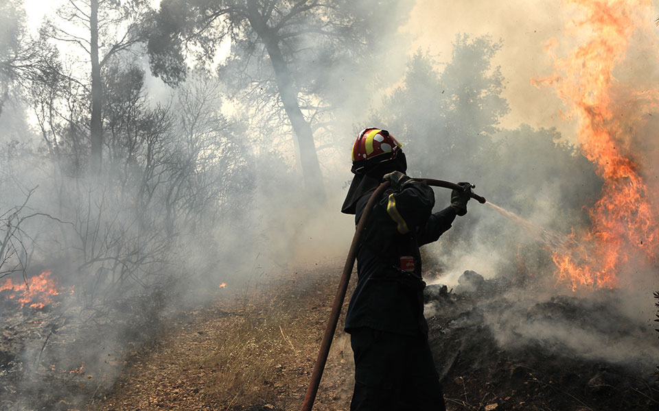 Υπό μερικό έλεγχο η φωτιά σε αγροτική έκταση στο Νεοχωράκι Βοιωτίας