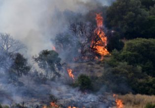 Θεσσαλονίκη: Υπό μερικό έλεγχο η πυρκαγιά σε χαμηλή βλάστηση στον Λαγκαδά
