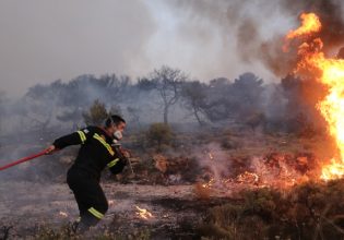 Φωτιά τώρα στις Αφίδνες – Σπεύδουν δυνάμεις της πυροσβεστικής