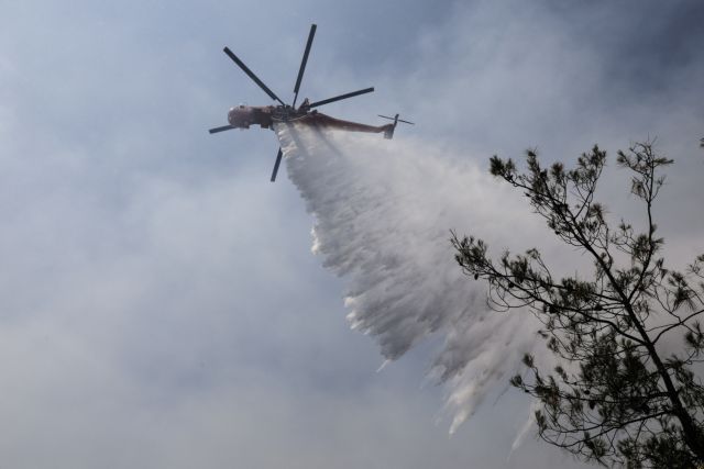 Σέρρες: Μεγάλη φωτιά σε δασική έκταση - Επιχειρούν και εναέρια μέσα