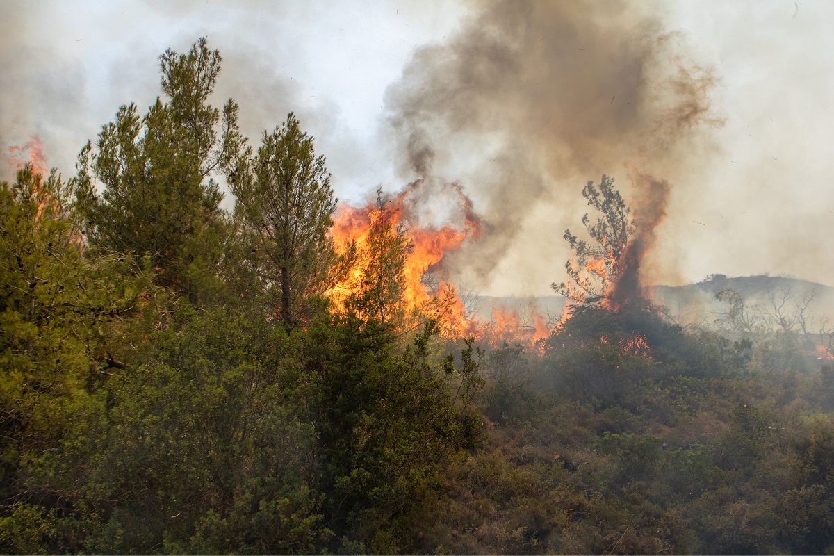 Κερατέα: Ξέσπασε φωτιά σε ξερά χόρτα και χαμηλή βλάστηση