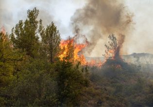 Φωτιά: Νέο μήνυμα από το 112 για την πυρκαγιά στην Βάρης – Κορωπίου