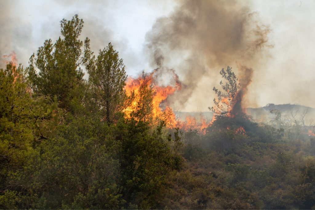 Αυξημένη επικινδυνότητα για δασικές πυρκαγιές μέχρι την Παρασκευή