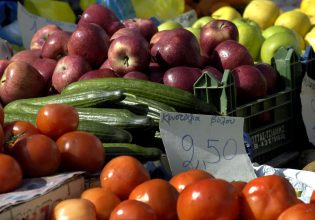 Εισαγωγές: Τρώμε πατάτες από την Αίγυπτο, ντομάτες από την Τουρκία, μήλα από τη Βόρεια Μακεδονία