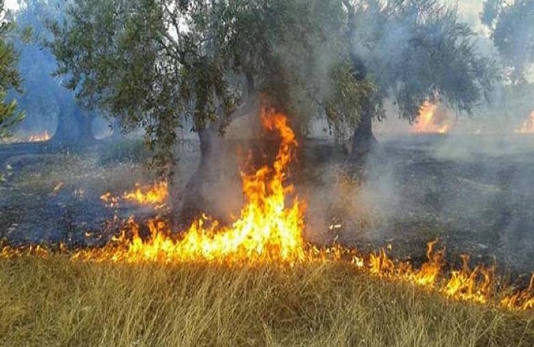 Μέτρα για την πρόληψη πυρκαγιάς από αγροτικές δραστηριότητες