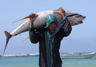 Θαλασσινά: Οι ιχθυοκαλλιέργειες ξεπέρασαν σε παραγωγή την αλιεία