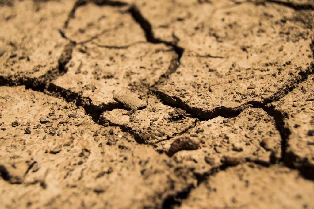 Η ξηρασία πλήττει (και) την ελληνική παραγωγή