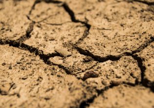 Η ξηρασία πλήττει (και) την ελληνική παραγωγή
