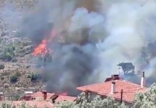 Φωτιά στην Κερατέα: Στα πρώτα σπίτια οι φλόγες – Εκκενώθηκαν οικισμοί, ενισχύονται διαρκώς οι δυνάμεις