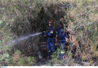 Θεσσαλονίκη: Κακουργηματική δίωξη για εμπρησμό δάσους στον 25χρονο για τη φωτιά στο Σέιχ Σου – Τι ισχυρίστηκε