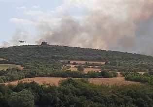 Σέρρες – Φωτιά: Μαίνεται η πυρκαγιά στη Νιγρίτα – Επιχειρούν ισχυρές δυνάμεις, στη «μάχη» 10 εναέρια μέσα