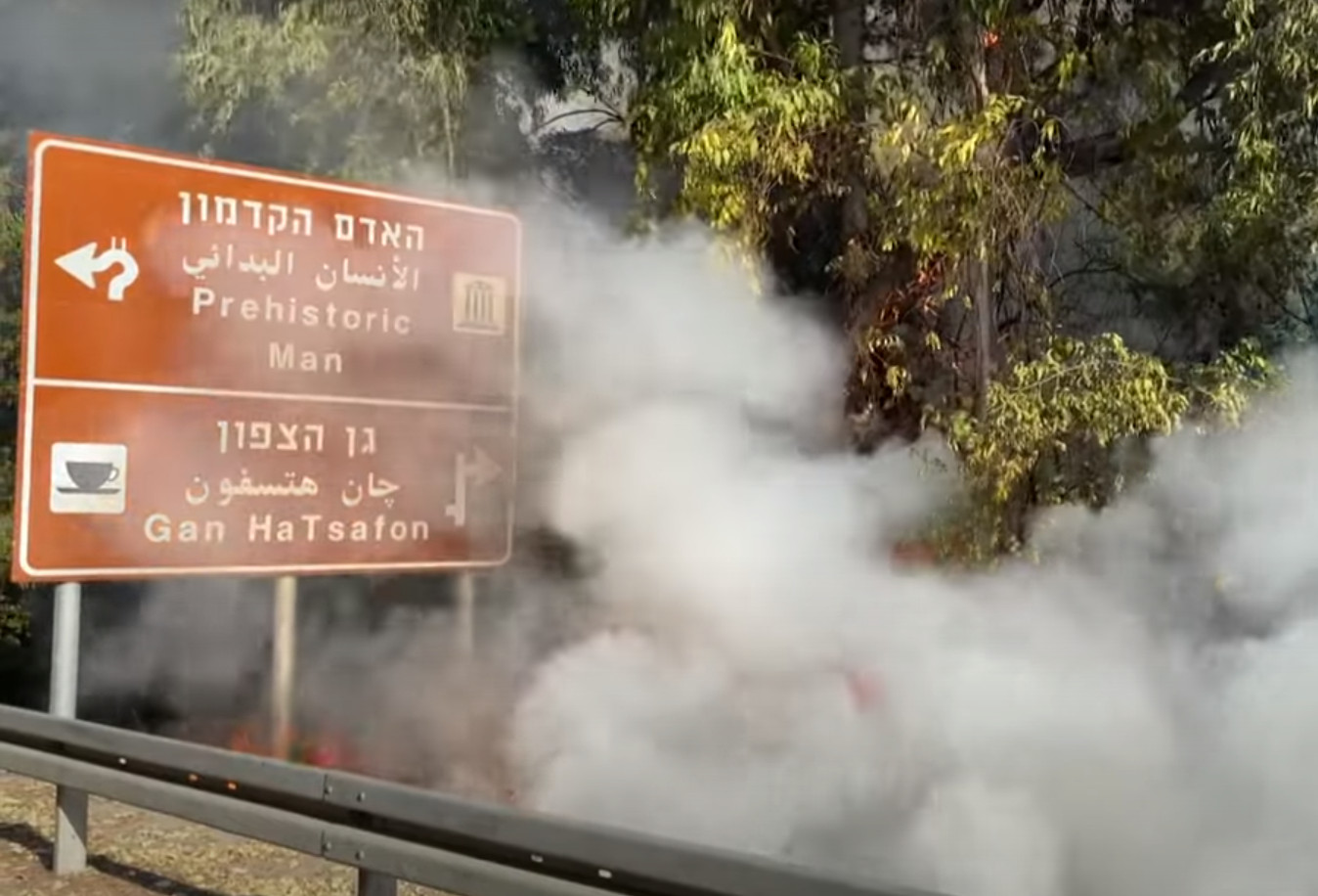 Ισραήλ: Οι πυροσβέστες συνεχίζουν τη μάχη με τις φλόγες – Χιλιάδες στρέμματα έχουν ήδη καεί