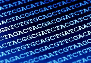 Η Google του DNA – Νέα μηχανή αναζήτησης για τη γενετική πληροφορία