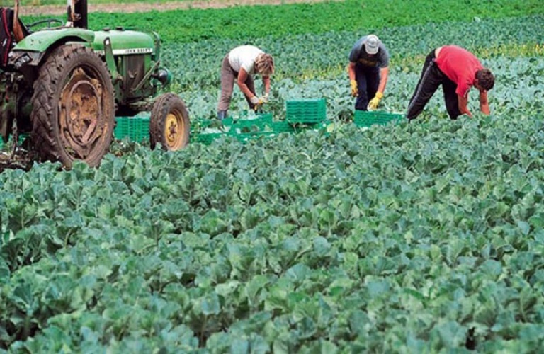 Ιταλία: Άφησαν εργάτη γης με κομμένο χέρι να πεθάνει στον δρόμο