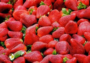 Οπτική ψευδαίσθηση: Το τεστ με τις φράουλες που δείχνει πόσο επιρρεπής είσαι στις παράνομες σχέσεις