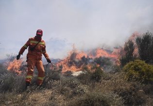 Φωτιά: Στις φλόγες δασική έκταση στην Πάργα – Επιχειρούν έξι αεροσκάφη