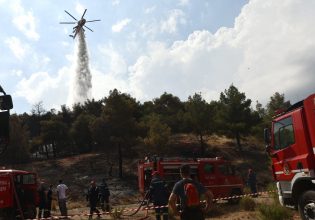 Φωτιά: Στις φλόγες δασική έκταση στο Σουφλί – Επιχειρούν ισχυρές δυνάμεις της Πυροσβεστικής