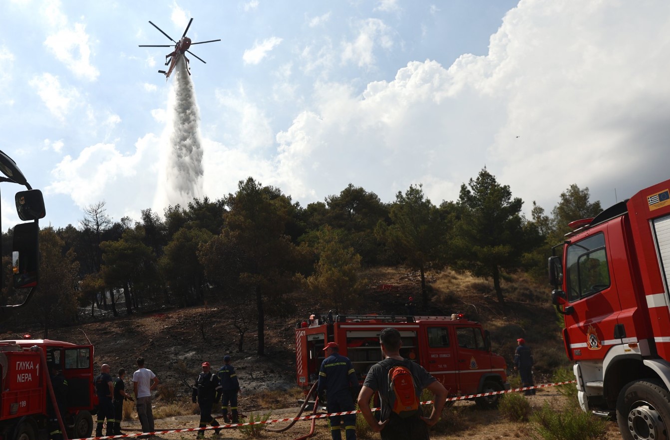 Φωτιά: Στις φλόγες δασική έκταση στο Σουφλί - Επιχειρούν ισχυρές δυνάμεις της Πυροσβεστικής