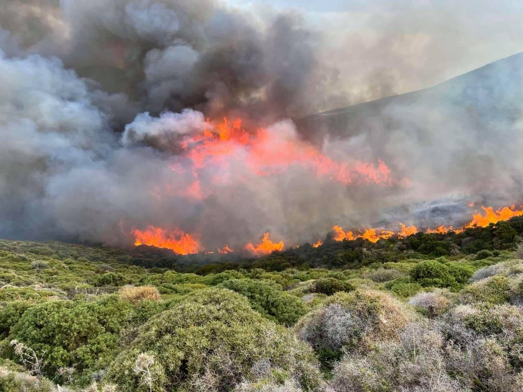 Πολύ υψηλός ο κίνδυνος για φωτιά την Τρίτη σε 8 περιφέρειες