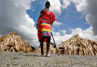 Τανζανία, εκεί όπου ο τουρισμός «μασάει»… τους Μασάι