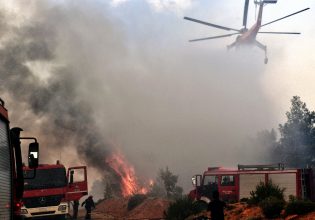 Αλεξανδρούπολη: Φωτιά τώρα στην Εγνατία οδό – Και εναέριο μέσο στην κατάσβεση
