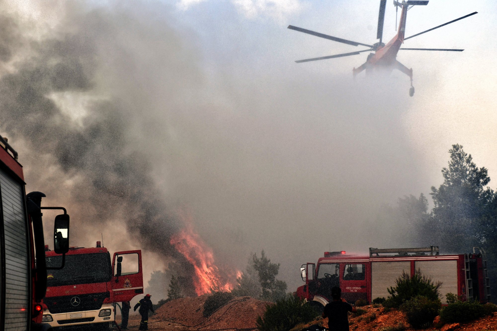 Αλεξανδρούπολη: Φωτιά τώρα στην Εγνατία οδό - Και εναέριο μέσο στην κατάσβεση