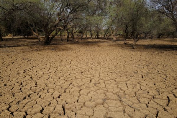 Κλιματισμός: Δεν επαρκεί για να σωθείτε από τους καύσωνες του μέλλοντος