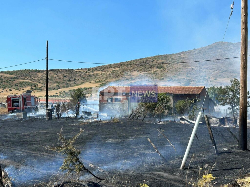 Καστοριά: Συναγερμός για φωτιά στο Βιομηχανικό Πάρκο - Κάηκε ένας ορνιθώνας