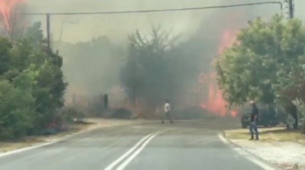 Φωτιά στον Τρίλοφο Θεσσαλονίκης - Μάχη με τις φλόγες, απειλούνται σπίτια