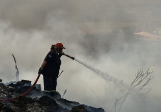 Φωτιά στο Αχλαδοχώρι Σερρών: Εστάλη μήνυμα από το 112