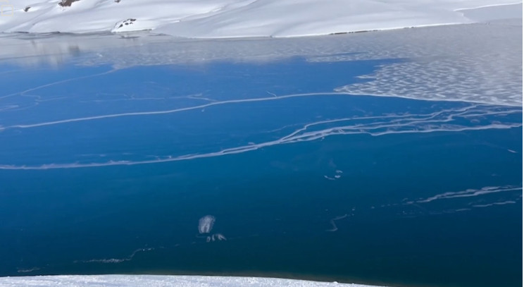 Χιλή: Δείτε τη «λίμνη που τραγουδάει» - Απόκοσμοι ήχοι