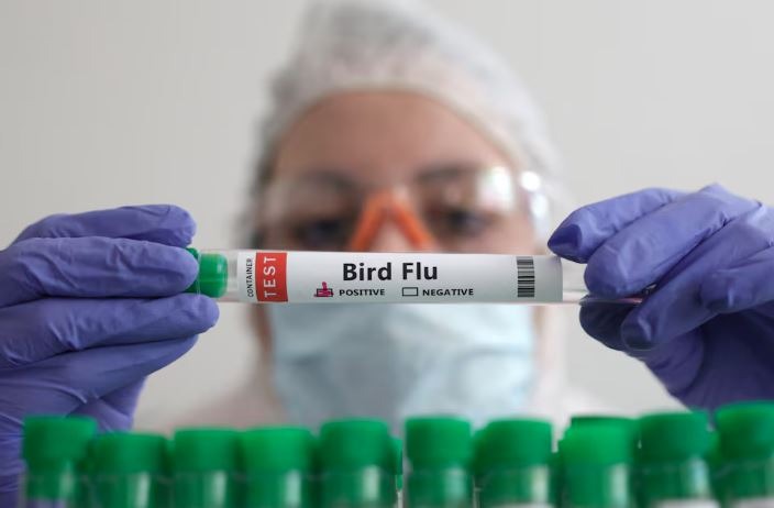 Γρίπη των πτηνών: Ανησυχία για «πανδημία σε αργή κίνηση»