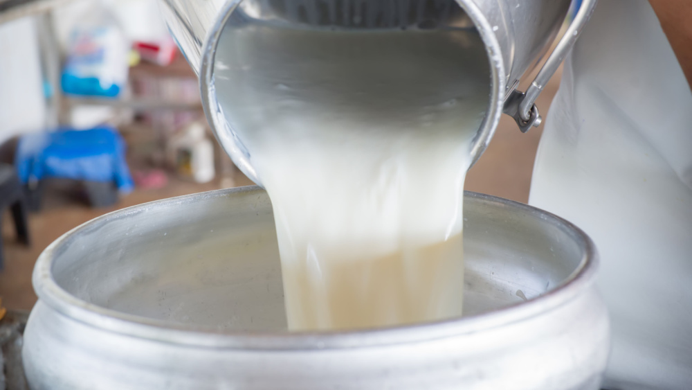 Συνδεδεμένες ενισχύσεις: Καθορίστηκαν τα ποσά για το γάλα στα μικρά νησιά Αιγαίου
