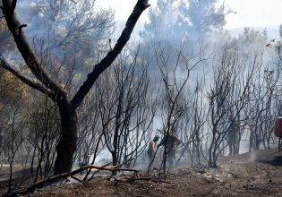 Πάτρα: Χωρίς ενεργό μέτωπο η φωτιά στο Γηροκομειό – Όλη νύχτα θα επιχειρεί η Πυροσβεστική