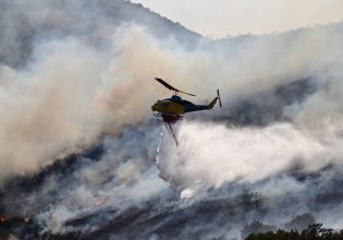 Φωτιά στην Εύβοια: Χωρίς ενεργό μέτωπο – Ζημιές σε καλλιέργειες και υποδομές