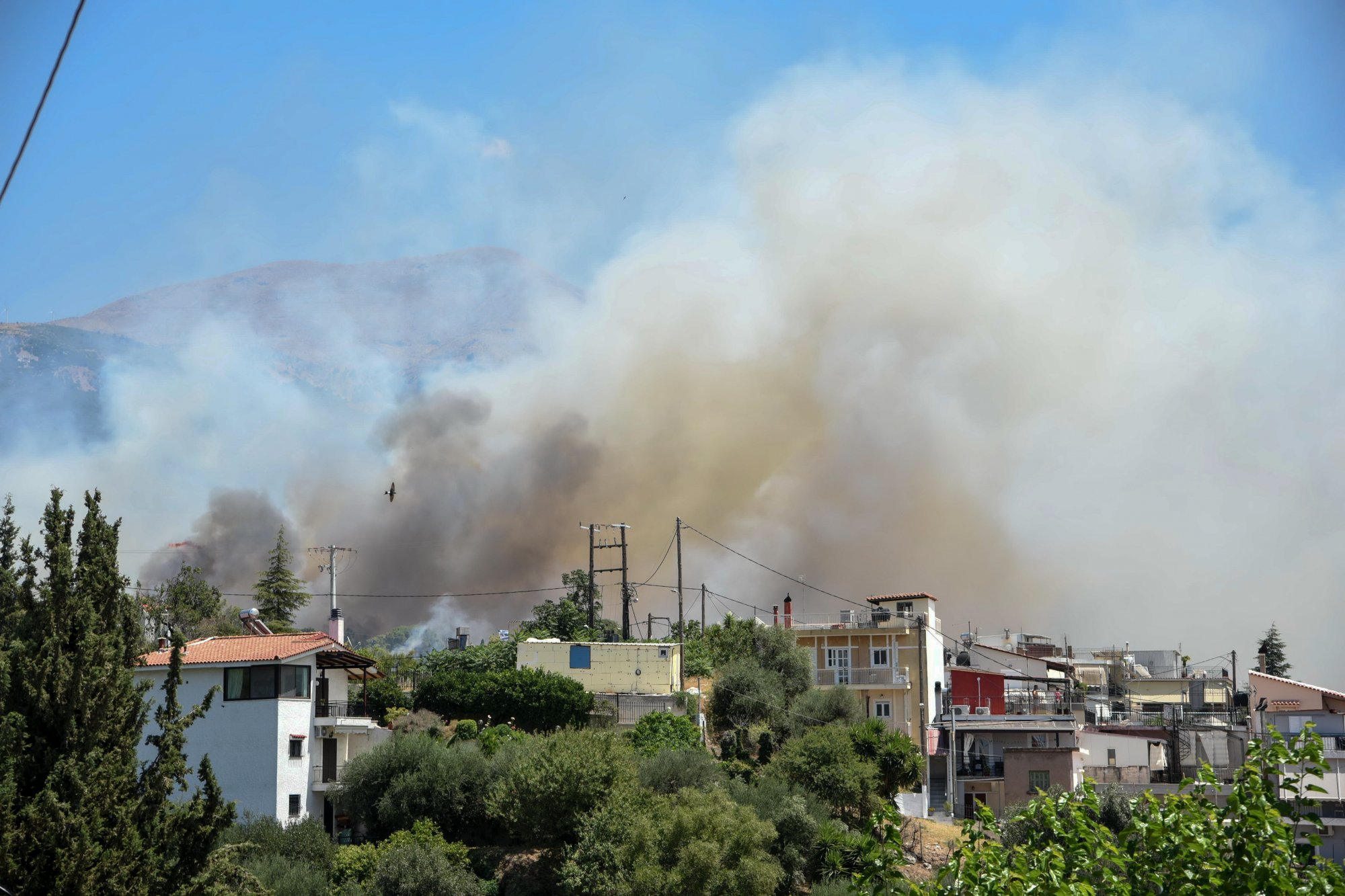 Φωτιά στην Πάτρα: Κάηκαν σπίτια και αυτοκίνητα - Κλειστό μέχρι νεοτέρας το Καραμανδάνειο