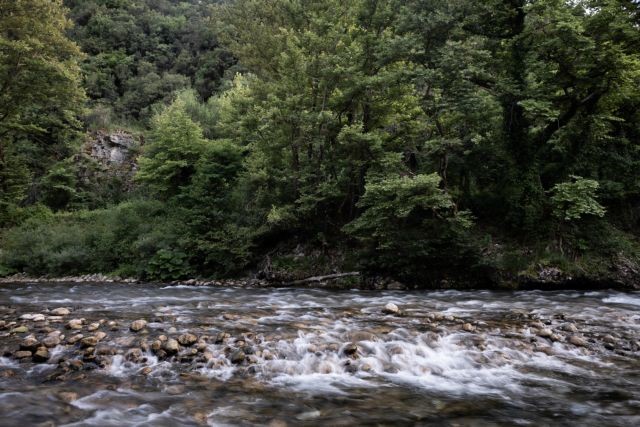 Τι τρομάζει την Περιφέρεια Κρήτης και τον Δήμο Αγίου Βασιλείου