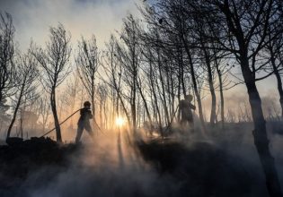 Αποτίμηση του Δήμου Διονύσου για την πυρκαγιά στη Σταμάτα