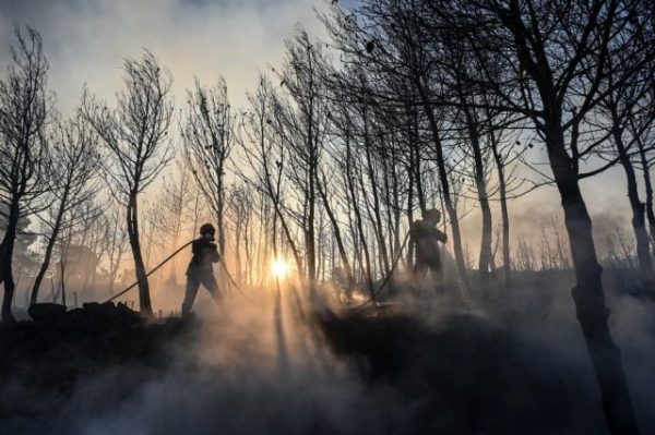 Αποτίμηση του Δήμου Διονύσου για την πυρκαγιά στη Σταμάτα