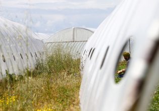 Εργάτες γης χωρίς χαρτιά – Οι σύγχρονοι σκλάβοι στην Ιταλία της μεταφασίστριας Τζόρτζια Μελόνι