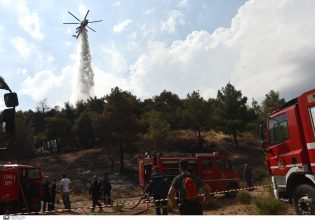 Φωτιά στις Ερυθρές Αττικής – Μεγάλη κινητοποίηση της πυροσβεστικής