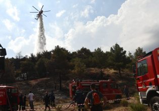 Φωτιά στην Κέρκυρα σε δασική έκταση – Ρίψεις από πέντε αεροσκάφη