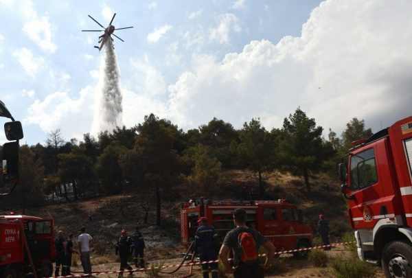 Φωτιά στην Κέρκυρα σε δασική έκταση – Ρίψεις από πέντε αεροσκάφη