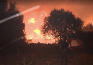 Φωτιά στην Εύβοια: Επιχειρούν ισχυρές πυροσβεστικές δυνάμεις – Κόπασαν οι άνεμοι