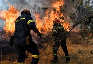 Πολύ υψηλός κίνδυνος φωτιάς την Κυριακή σε πέντε περιφέρειες