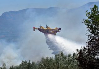 Φωτιά στη Λέσβο: Απειλεί το μεγάλο δάσος του νησιού, πνέουν ισχυροί άνεμοι